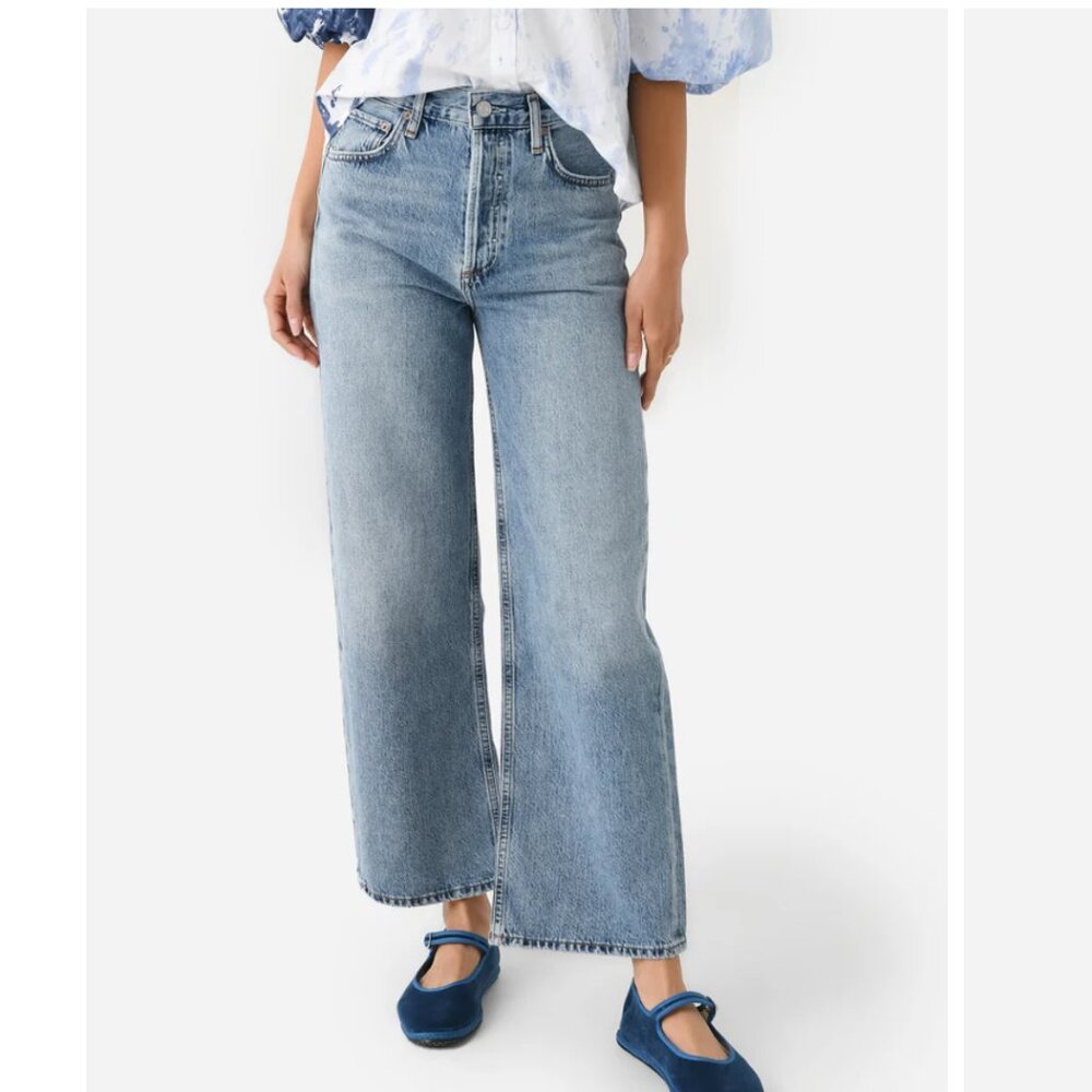 Agolde Ren Wide Leg Jeans in Disclosure Light Wash Relaxed Denim 28